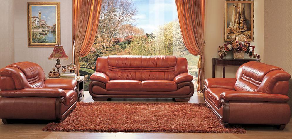 Attention in Choosing the Leather Sofa