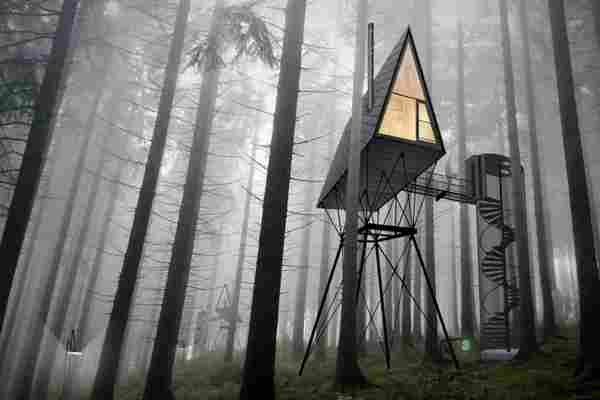 A treetop house with a rooftop design